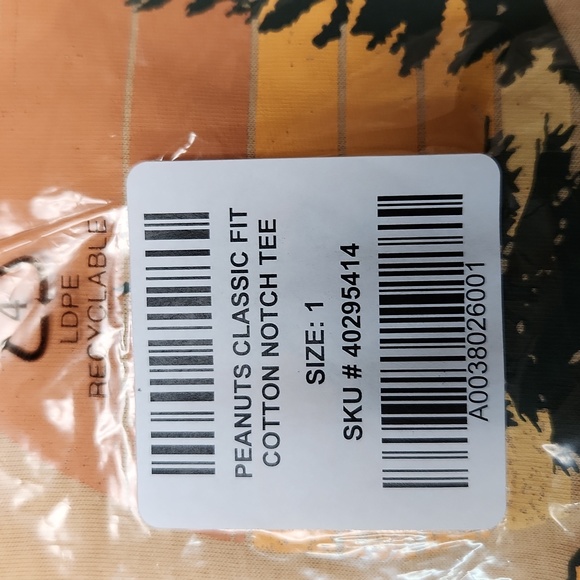 ❤️NWT VINTAGE TORRID TEE - PEANUTS SNOOPY WOODSTOCK TAKE A HIKE NOTCH PLUS SIZE - Picture 7 of 13